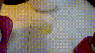 【奴隶岛】—对主人的原味熟悉训练