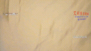 肉丝长腿美女调教狗奴