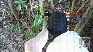 琪琪女主室外调教玩耍