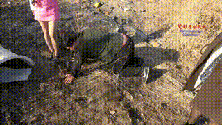 双主狂虐碎嘴肥狗（上集）