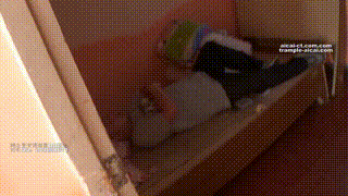 剧情片入室女绑匪。