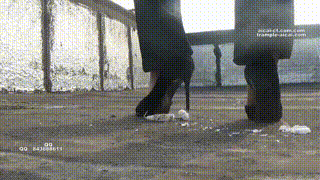 踩姐职业装高跟物体粉碎2