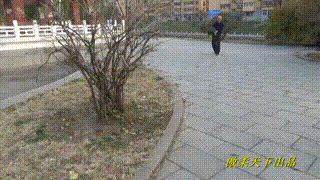 【傲柔 】s野外游玩