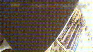 肉丝第一视角，舔鞋，舔脚，语言羞辱，距离超近，超清晰