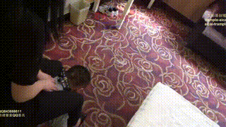 思思在家玩狗奴封面图