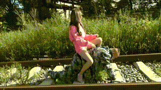 【冷柔】铁道操练特种狗