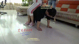 两位女主教训家奴