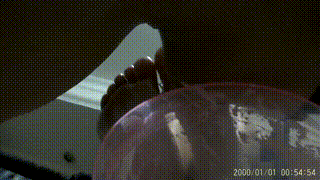 冷天使S-调教裸足牛奶舔脚狗