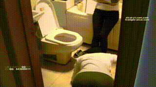 【傲柔】s卫生间的调教