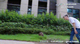 〖H.P.L栖心之栈〗—精神小伙尾随舔脚 HPL-260309封面图