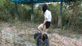 【彼岸花】女上司辞退男员工，男员工惨成为靴下奴 YC-230919-3封面图