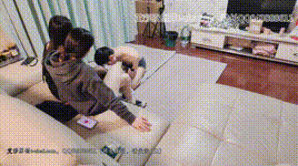 model-月焱繁星的除臭器 YC-250326封面图