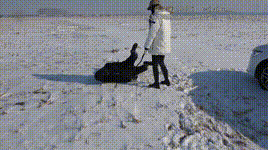 【苒溪S】大雪地遛狗，骑马，踩踏 YC-250211封面图